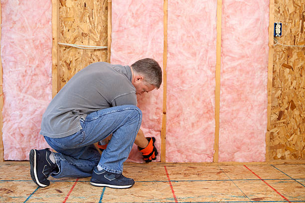 Best Eco-Friendly Insulation in Melrose Park, IL